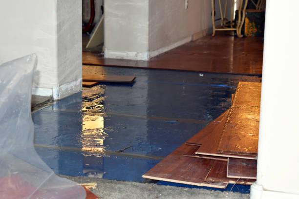 Professional Water Extraction technician working in Mission, TX